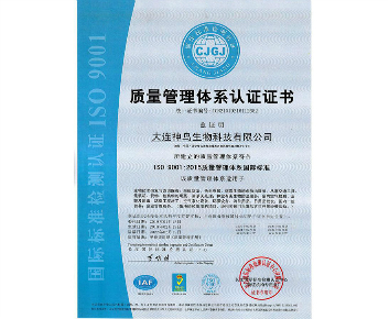 ISO 9001国际认证